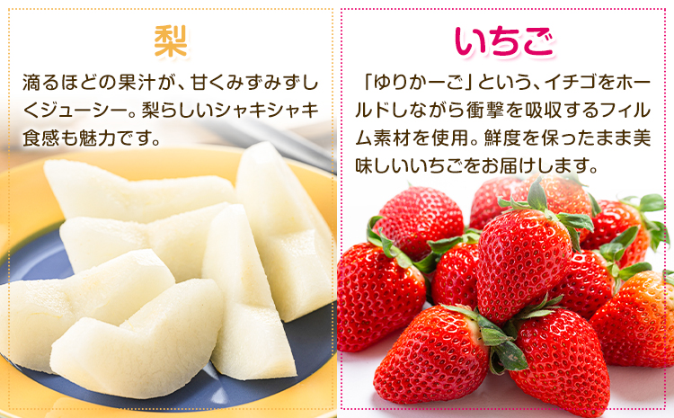 【定期便6回】特選 フルーツ 便 ( メロン すいか ぶどう 梨 いちご ) スイカ 葡萄 ブドウ ナシ なし 苺 イチゴ 果物 くだもの セット 詰合せ 定期便【メロンドーム】《お申込み翌月から出荷》