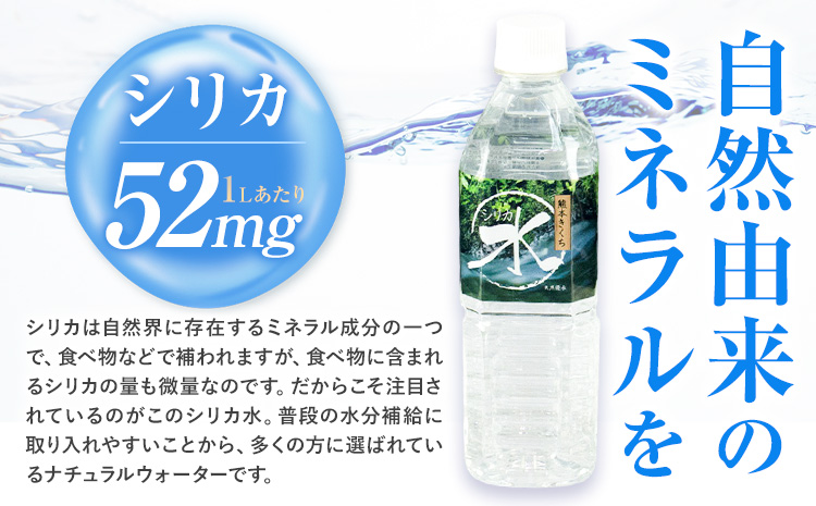 水 シリカ水 500ml × 48本 有限会社七城町特産品センター メロンドーム 《30日以内に出荷予定(土日祝除く)》 熊本県 菊池市 水 軟水 飲料 ドリンク 清涼飲料水 天然地下水 ペットボトル ミネラルウォーター 定期便 送料無料