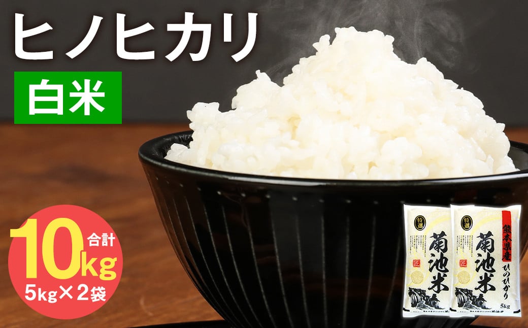 熊本県菊池産 ヒノヒカリ 5kg×2袋 計10kg 精米 お米 白米 令和6年産