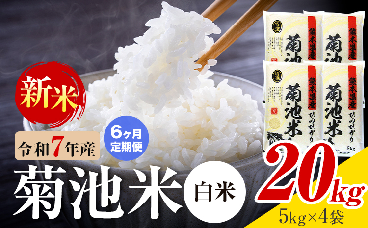 【6ヶ月定期便】熊本県産 菊池米 白米 20kg 1袋5kg 米 お米 令和7年産 九州産 熊本県産 送料無料《お申込み翌月に出荷予定》  白米 米