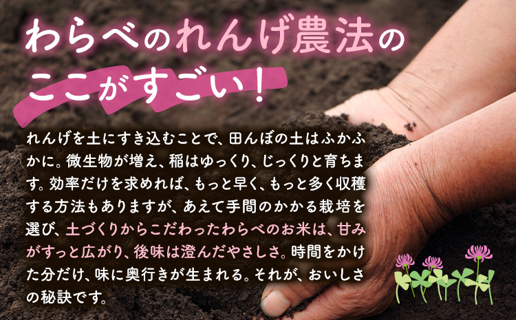 辭頑悽逵瑚所豎蟶ら肇縺ョ繧後s縺堤アウ 5kg 縲30譌・莉・蜀縺ォ蜃コ闕キ莠亥ョ(蝨滓律逾晞勁縺)縲 邊セ邀ウ譁ケ豕 邊セ邀ウ 縺顔アウ 逋ス邀ウ 繝ャ繝ウ繧イ邀ウ 辭頑悽逵檎肇 荵晏キ樒肇 騾∵侭辟。譁