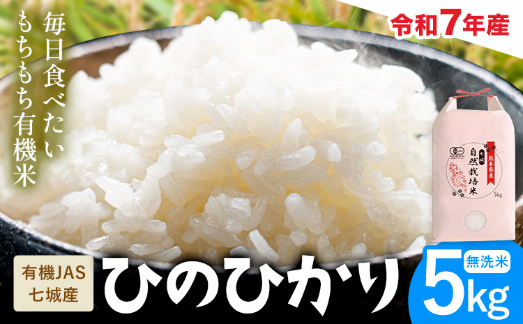 令和7年産 有機JAS 七城産ひのひかり 無洗米 5kg 《30日以内に出荷予定(土日祝除く)》渡辺農産熊本県 菊池市 米 お米 精米 ひのひかり 菊池市産 熊本県産 九州産 送料無料
