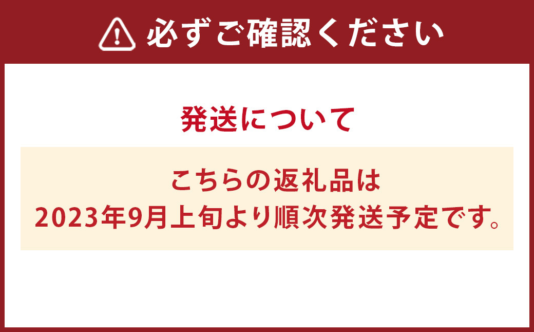 【2023年9月上旬発送】 熊本県菊池市産 シャインマスカット ＆ ピオーネ セット 約2.5kg ぶどう 果物