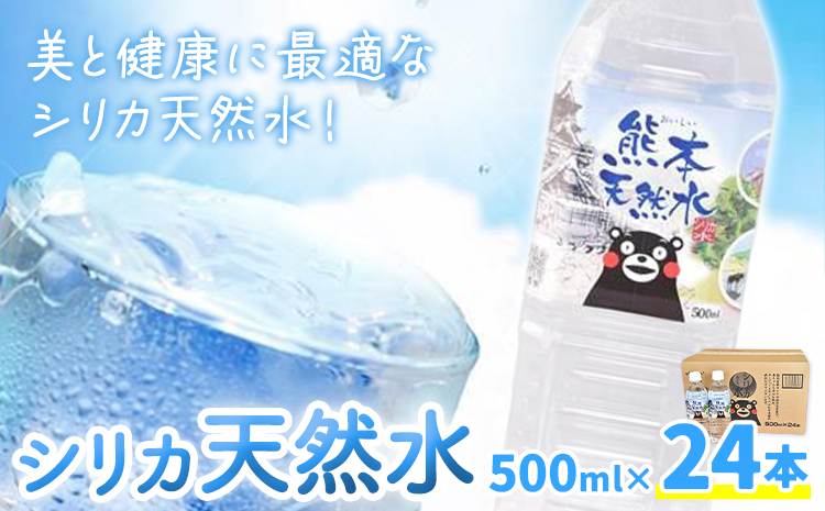 シリカ天然水 500ml×24本 株式会社Foody's《30日以内に出荷予定(土日祝除く)》熊本県 菊池市 シリカ水 飲料水 ミネラルウォーター 水 軟水 鉱水 ペットボトル