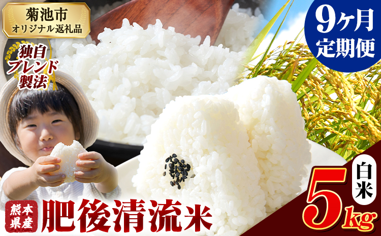 【9ヶ月定期便】熊本県産 肥後清流米 白米 5kg 熊本県産 ふるさと納税 《お申込み月の翌月から出荷開始》精米 米 こめ ふるさとのうぜい コメ お米 おこめ