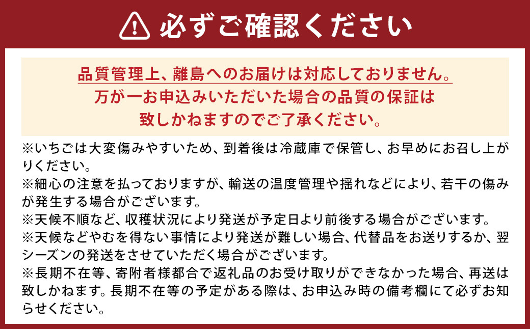 【2024年2月発送分】ツツミイチゴ(ひのしずく) 約260g×2パック 苺 果物