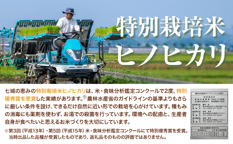 ã12åå®æäŸ¿ãã€ãããã¡ãŒã ã®ãããã«ãªå®æäŸ¿ 極ãããã«ãªå®æäŸ¿ ç¹å¥æ œå¹ç±³ ãããã«ãª 5kg æ ªåŒäŒç€Ÿäžåã®æµã¿ãç³èŸŒæã®ç¿æããåºè·éå§ãçæ¬ç èæ± åž ç±³ ã²ã®ã²ãã å®æäŸ¿ ã€ãããã¡ãŒã