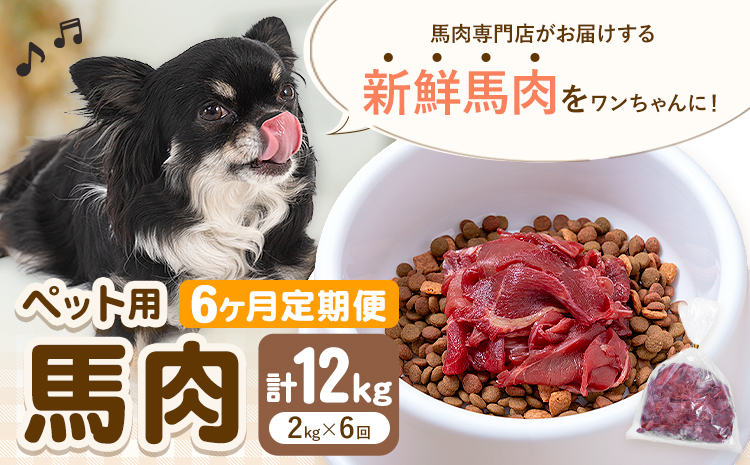 【6ヶ月定期便】ペット用馬肉 2kg × 6回 計12kg 五右衛門フーズ《申込月の翌月から出荷開始》 ペット用 犬用 肉 馬肉 熊本県 菊池市
