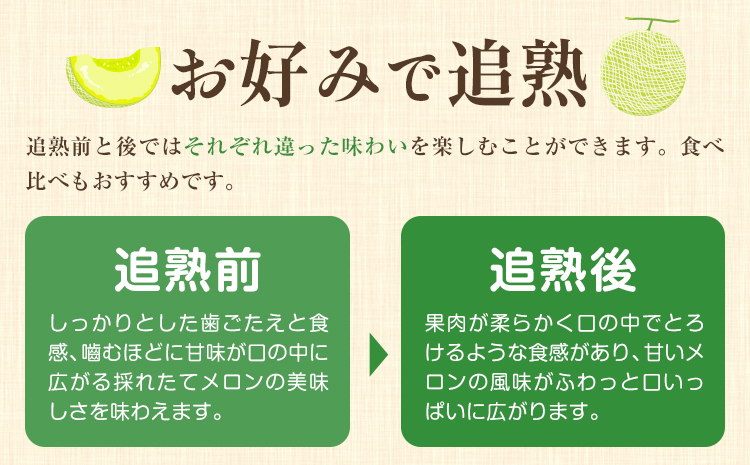 縲仙郁。御コ育エ縲代Γ繝ュ繝ウ 閧・蠕後げ繝ェ繝シ繝ウ繝。繝ュ繝ウ 迚ケ螟ァ 4L ス 5L 繧オ繧、繧コ 2邇 邏2ス2.4kgテ2 MOTOYAMA358FARM 縲2026蟷エ4譛井クュ譌ャ-6譛井クュ譌ャ鬆蜃コ闕キ縲 辭頑悽逵 闖頑ア蟶 繝。繝ュ繝ウ 譫懃黄 繝輔Ν繝シ繝 荵晏キ樒肇 蝗ス逕」 騾∵侭辟。譁