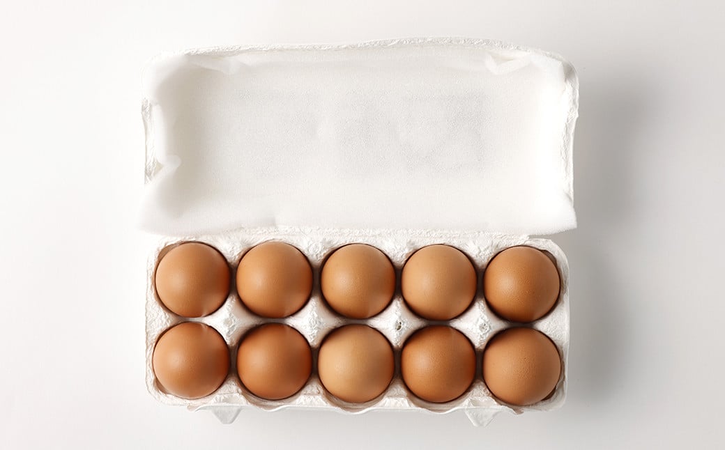 【12回定期便】 にんにくたまご 60個×1ケース 毎月(計12回) たまご 卵