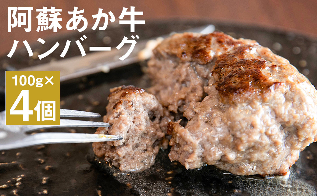 阿蘇 あか牛 ハンバーグ 200g × 2セット 合計 4個 400g 牛肉 牛