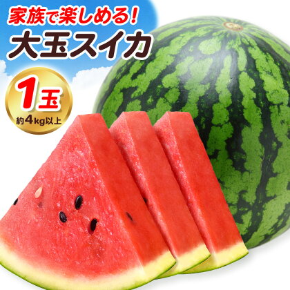 【先行予約】大玉すいか 1玉 約4kg 株式会社エフビーネット《5月上旬-7月中旬頃出荷》熊本県 菊池市 すいか スイカ 大玉 熊本県産 フルーツ