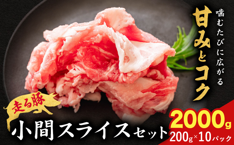 闖頑ア繧縺セ縺ゅ>縺ョ雎壼ー城俣繧ケ繝ゥ繧、繧ケ 2kg縲90譌・莉・蜀縺ォ蜃コ闕キ莠亥ョ壹(蝨滓律逾晞勁縺)縲1繝代ャ繧ッ200g 雎夊i 雎壼ー城俣 繧ケ繝ゥ繧、繧ケ貂医∩ 蟆丞縺 辭頑悽逵檎肇 荵晏キ樒肇 蝗ス逕」 蜀キ蜃 騾∵侭辟。譁