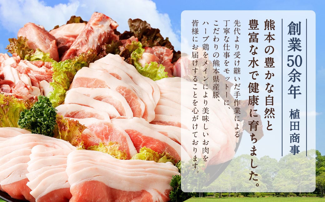 熊本県産 豚肉 ロース・モモ・スペアリブ・肩ロースもしくはバラ 詰め合わせ 4種 合計 3.8kg