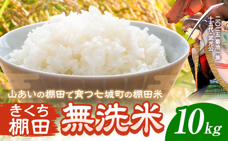 令和7年産 きくち棚田無洗米 10kg ひのひかり《30日以内に出荷予定(土日祝除く)》熊本県 菊池市 米 こめ ヒノヒカリ お米 ブランド米 単一原料米 菊池