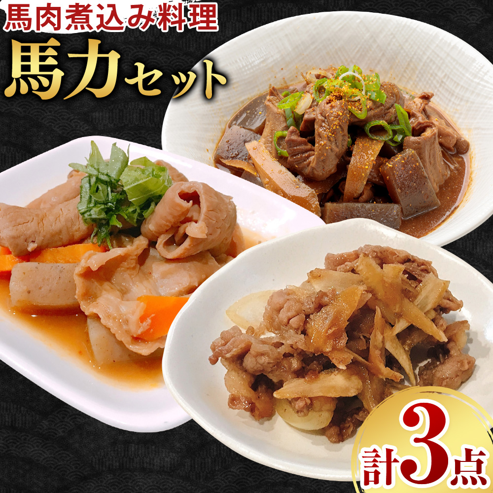 馬力セット 3種類 セット 計630g ホルモン煮込み しぐれ煮 スジ煮込み 株式会社有働精肉店《30日以内に出荷予定(土日祝除く)》熊本県 菊池市 おつまみ 惣菜 馬肉 ホルモン すじ肉 熊本県産 九州産 国産 冷凍 送料無料