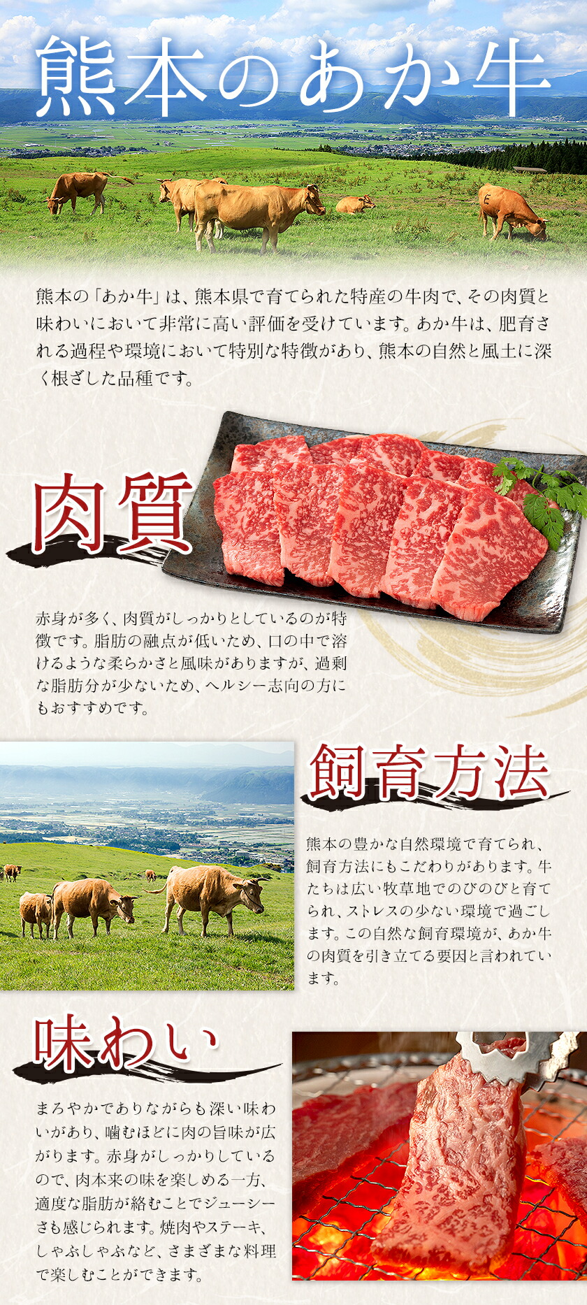 熊本県産あか牛使用 くまもとあか牛 ビーフカレー 30袋 1袋160g レトルト カレー パック 常備食 長期保存 送料無料《30日以内に出荷予定(土日祝除く)》