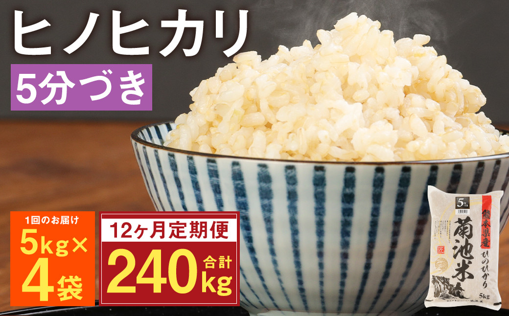 【12ヶ月定期便】熊本県菊池産 ヒノヒカリ 5kg×4袋×12回 計240kg 5分づき米 お米 米 分づき米