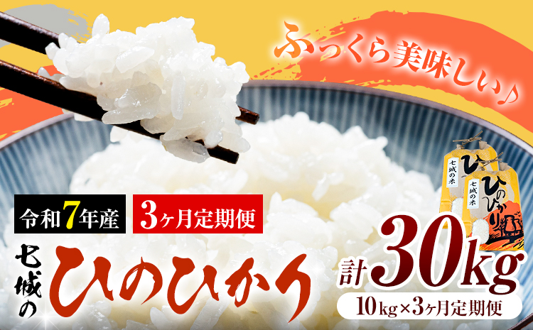 米 令和7年産 七城の ひのひかり 10kg 3ヶ月定期便 計30kg 有限会社草佳苑《90日以内に出荷予定(土日祝除く)》熊本県 菊池市 こめ 米 ひのひかり ブランド米 お米