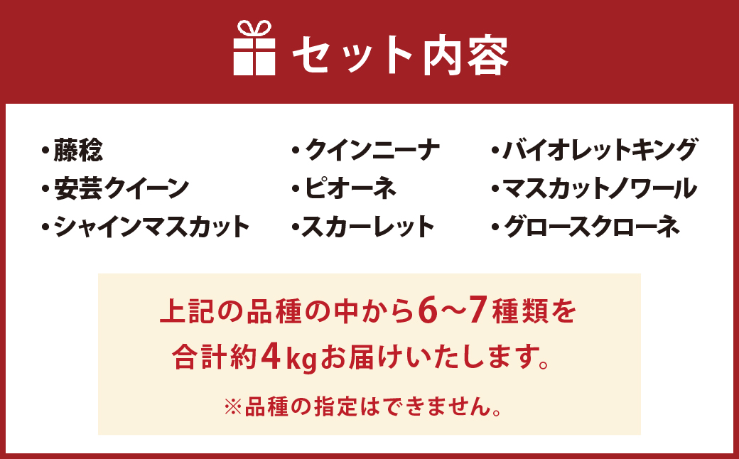 【8月上旬発送開始】なにが届くかお楽しみ プレミアム ぶどう セット 約4kg 葡萄 マスカット