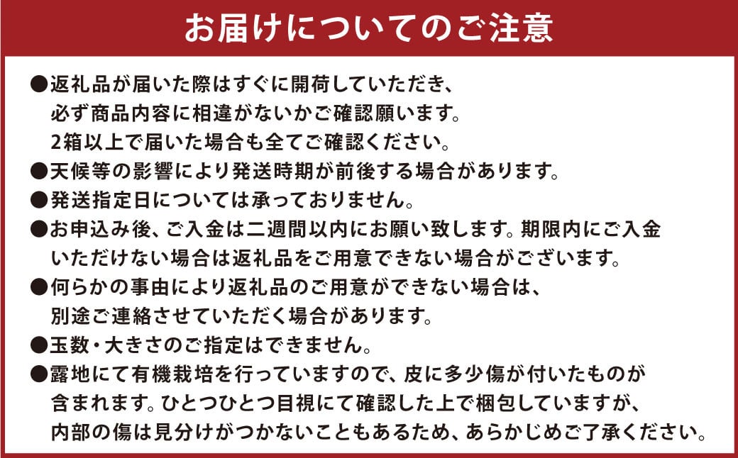 【先行受付】 特別栽培みかん（極早生） 5kg サイズミックス 極早生みかん 温州みかん みかん ミカン 蜜柑 フルーツ 柑橘 果物 果実 熊本県 上天草市【2024年9月下旬から10月下旬発送開始】