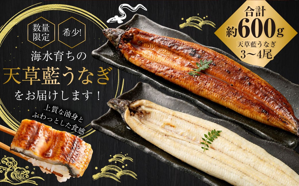 ããã·ã¥ã©ã³æä»ãã®ãããæçšã1æ¥10ã»ããéå®ïŒæµ·æ°Žè²ã¡ã®å€©èèããªã çŽ
çœ3ïœ4å°Ÿã»ãããåèšçŽ600gãæ°ééå®!! é°» ãŠãã® ããªã ããªãè²çŒ é°»ã®è²çŒ ããªã åœç£ çœçŒã