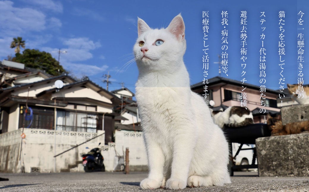 ねこの島！湯島！オリジナルステッカー【地域猫活動支援】 猫 ねこ ネコ オリジナルグッズ 猫グッズ ステッカー ロゴステッカー 猫島 猫の島 湯島 熊本県 上天草市