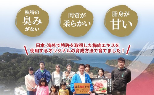 （飼育期間中）完全無薬！梅肉エキス肥育 熊本県産 天草梅肉ポーク 豚ロース しゃぶしゃぶ用 1.6kg 400g×4パック 肉 お肉 豚肉 豚 ロース 小分け 冷凍 熊本県 上天草市