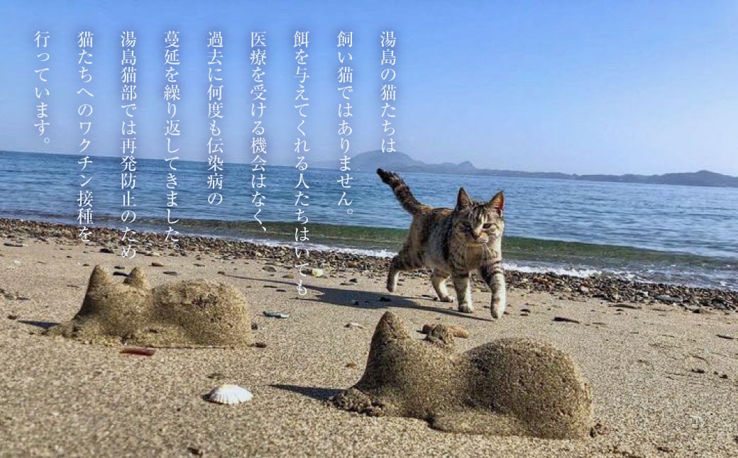 ねこの島！湯島！オリジナルステッカー【地域猫活動支援】 猫 ねこ ネコ オリジナルグッズ 猫グッズ ロゴステッカー ステッカー 猫島 猫の島 湯島 熊本県 上天草市