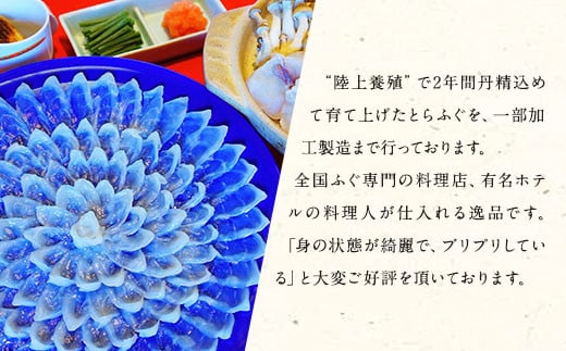 とらふぐフルコース【極】吉宝ふぐ(40cm赤絵皿全盛り・8～10人前、白子、唐揚げセット)『焼きひれ/特製ポン酢/もみじおろし付き』【2025年12月下旬から2026年4月上旬順次発送】