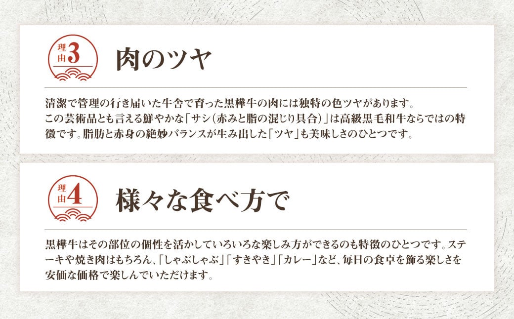 【定期便】黒樺牛 【2回定期便】肉厚サーロインステーキ 約300g 合計約600g お肉 肉 牛肉 ブランド黒毛和牛 和牛 黒毛和牛 ブランド牛 サーロイン ステーキ ロースステーキ 冷凍 国産 九州産 冷凍