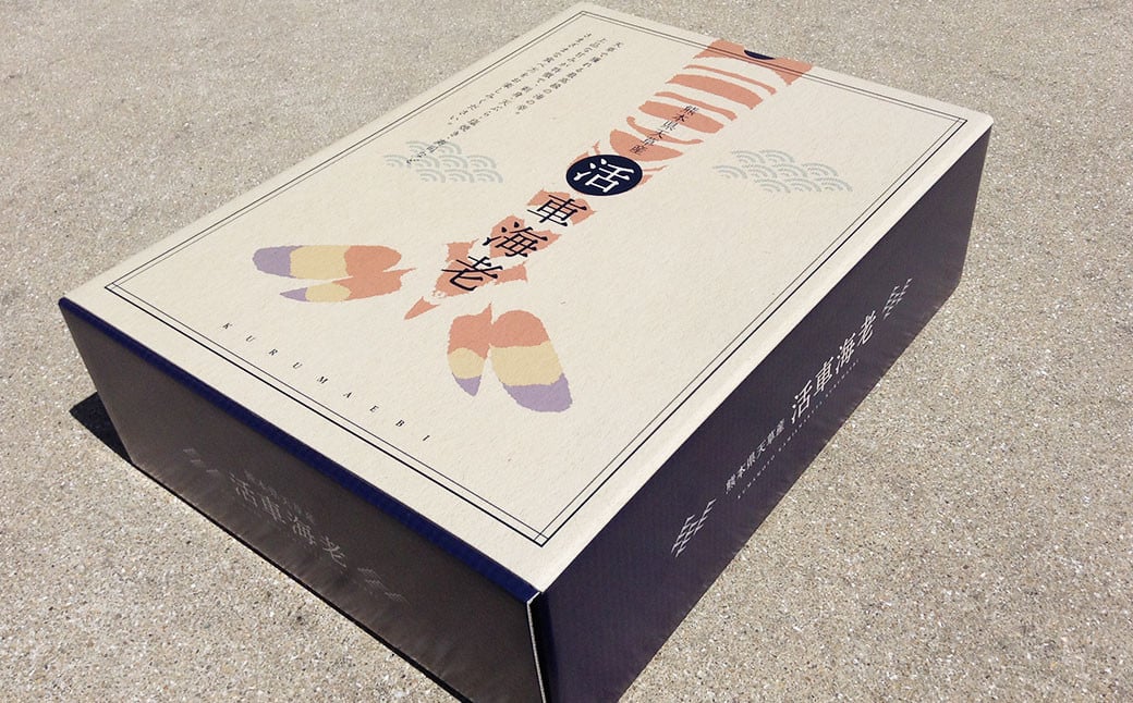 【配送指定日必須】天草産 活車海老 300g【発送期間2025年11月5日から2026年3月31日】9〜14尾入り 車海老 車エビ 活き車エビ 活き車海老 海老 エビ えび 刺身 お刺身 刺し身 生食 魚介 魚介類 活き海老 新鮮 常温 九州産 九州 国産 上天草市 海の幸 海鮮 日付指定 生きたまま発送 常温