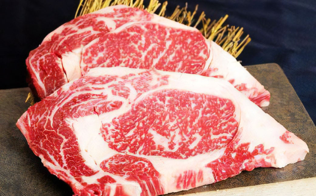 あか牛ロースステーキ（あか牛ロースステーキ約200g×2枚） 計約400g あか牛 肉 お肉 牛肉 ロース ステーキ 霜降り 褐牛 褐毛和種 和牛 国産牛 熊本県 上天草市 冷凍