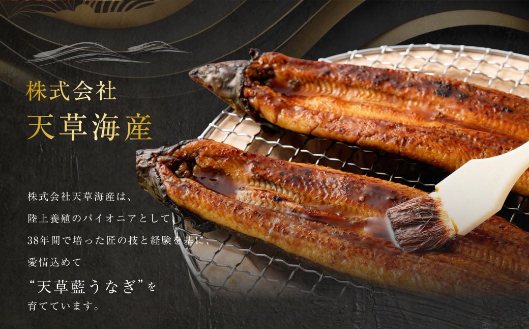 【数量限定】 【訳あり】 【ミシュラン星付きのプロが愛用】海水育ちの 天草 藍うなぎ 小ぶり 蒲焼 500g（4～5尾）  養殖期間中 無投薬 鰻 ウナギ うなぎ うなぎ蒲焼 鰻の蒲焼 国産