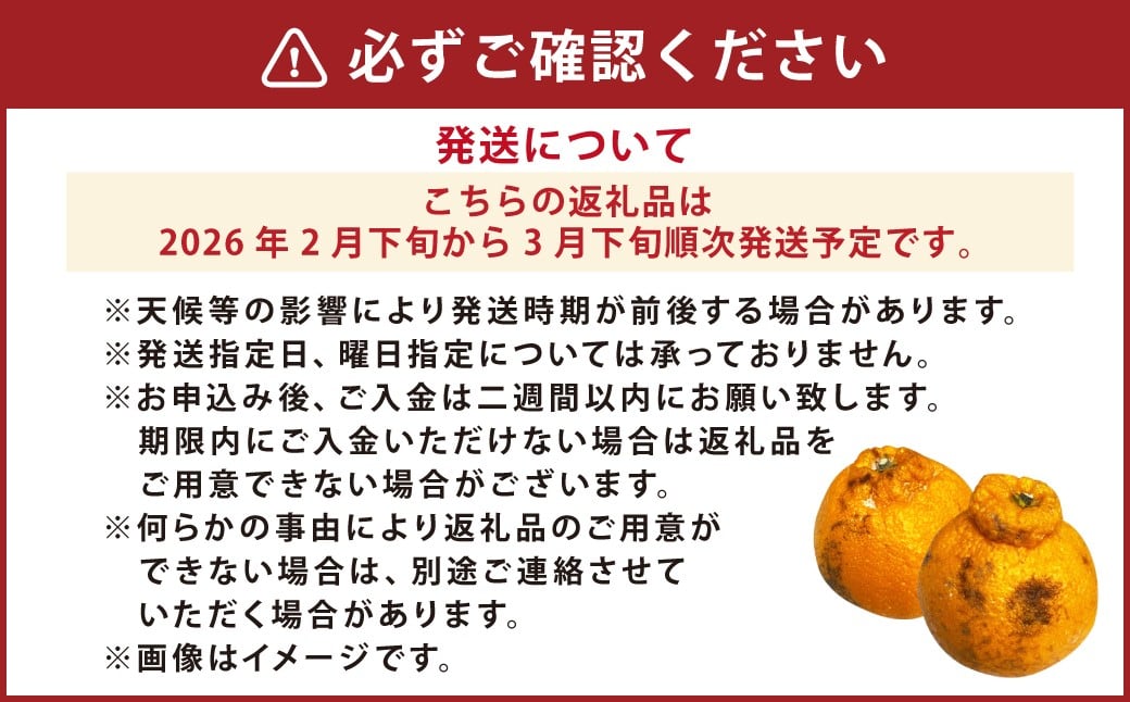 【先行受付】【数量限定】【訳あり】不知火 約5kg 訳あり 訳アリ 柑橘 フルーツ 果物 果実 くだもの みかん 蜜柑 ミカン 九州産 熊本県 上天草市【2026年2月下旬から3月下旬順次発送】