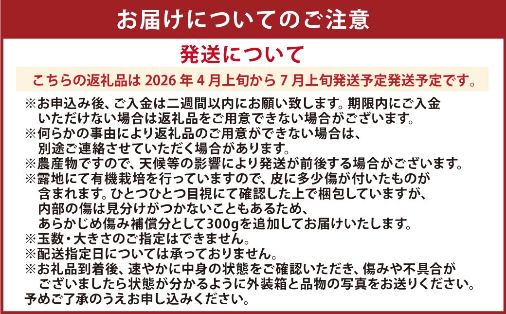 【先行受付】特別栽培河内晩柑 9kg サイズミックス 特別栽培 河内晩柑 柑橘 晩柑 ばんかん バンカン フルーツ 果物 果実 九州産 熊本県産【2026年4月上旬から7月上旬発送予定】
