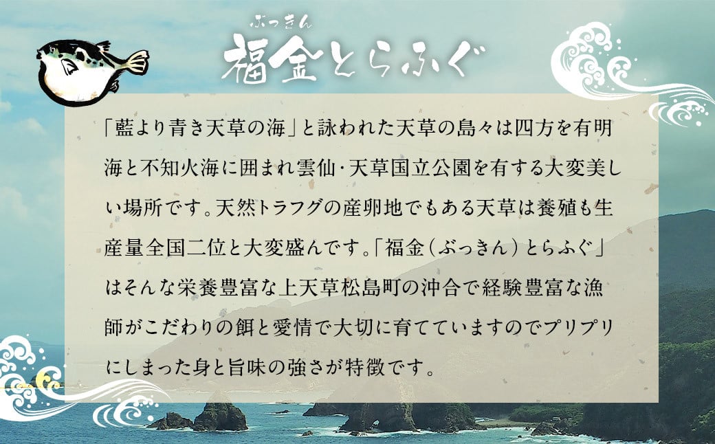 上天草産『福金とらふぐ』のボリューム満点得々 600g 加熱用 トラフグ とらふぐ ふぐ 河豚