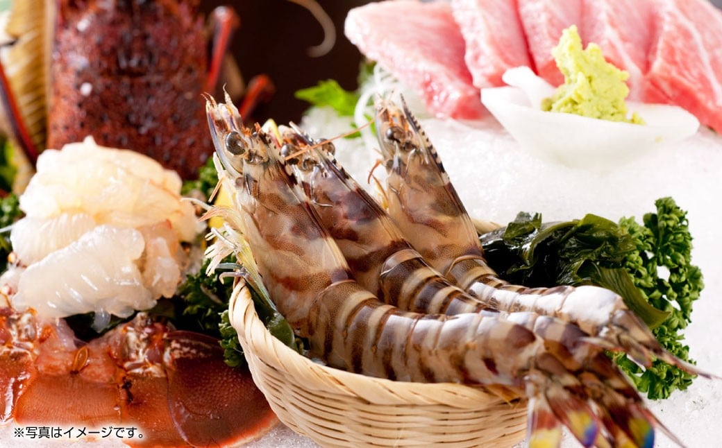 天草産 活〆冷凍 車海老 500g（特大） 12〜14尾 車えび 車エビ えび 海老 エビ 冷凍 国産 熊本県 上天草市【2025年11月下旬発送開始】