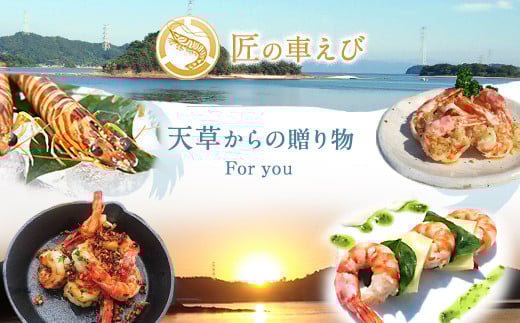 【上天草ブランド認証品】 匠の車えび【活き締め急速冷凍】600g(18尾～24尾) 車海老 刺身 車えび えび 車エビ エビ