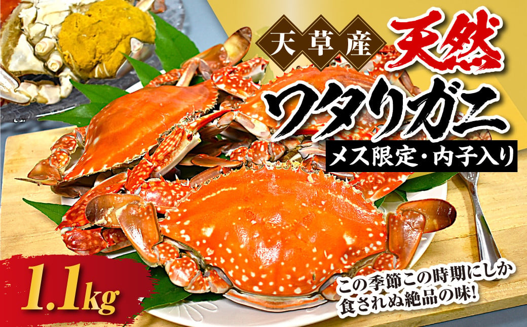 天草産 天然ワタリガニ メス限定内子入り 1.1kg 3～5杯 渡り蟹 ワタリガニ カニ 蟹 天草名物 甲殻類 魚介 渡蟹 グルメ 冷凍 内子 内子入り