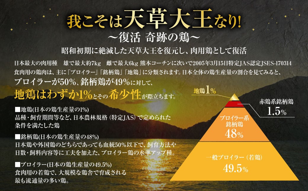 天草大王 塩麹漬け 9セット 200g×9パック 合計1.8kg 肉 お肉 鶏肉 地鶏 塩麹 麹 冷凍 熊本県産