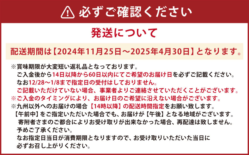 天草産活車海老 400g 大（2L） 9〜11尾 活き車海老 車海老 車エビ 活き海老 活きエビ えび 海老 エビ 新鮮 魚介 【発送期間2024年11月25日から2025年4月30日】