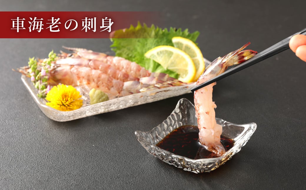 原点の車海老「急速冷凍」250g（8〜10尾）1パック 車海老 車えび くるまえび 急速冷凍 新鮮 お刺身 天ぷら 塩焼き 熊本県産