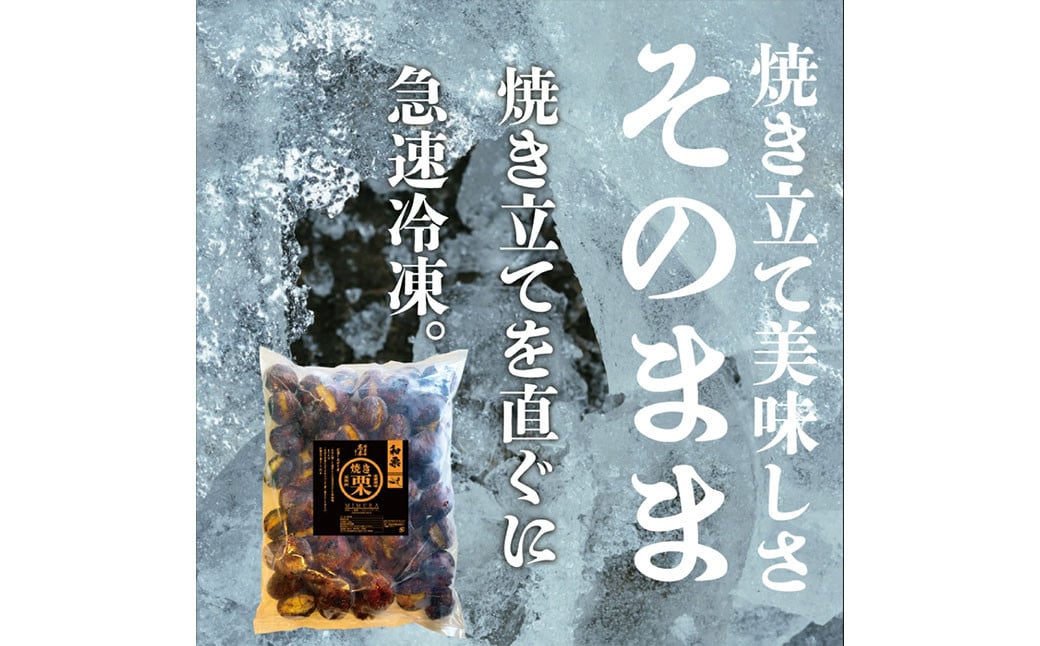 【定期便6ヵ月】無添加和栗専門店 美むらの和栗 焼き栗 500g 合計3kg 冷凍焼栗 栗 和栗 秋 マロン 冷凍 無添加 砂糖不使用 蒸し焼き 保存料不使用