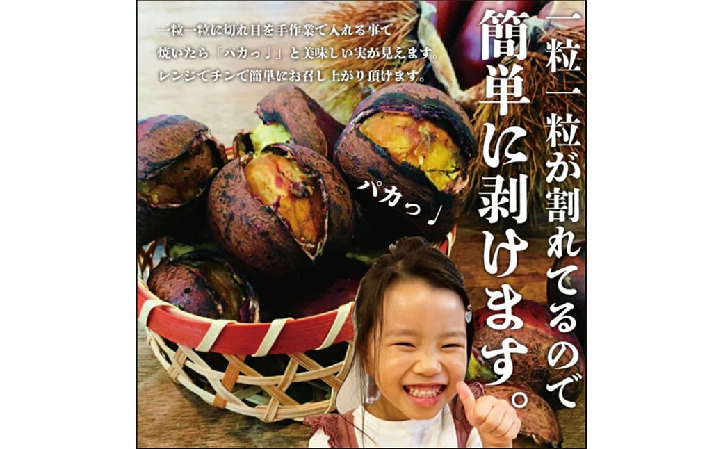 【定期便3ヵ月】無添加和栗専門店 美むらの和栗 焼き栗 500g 合計1.5kg 冷凍焼栗 栗 和栗 秋 マロン 冷凍 無添加 砂糖不使用 蒸し焼き 保存料不使用