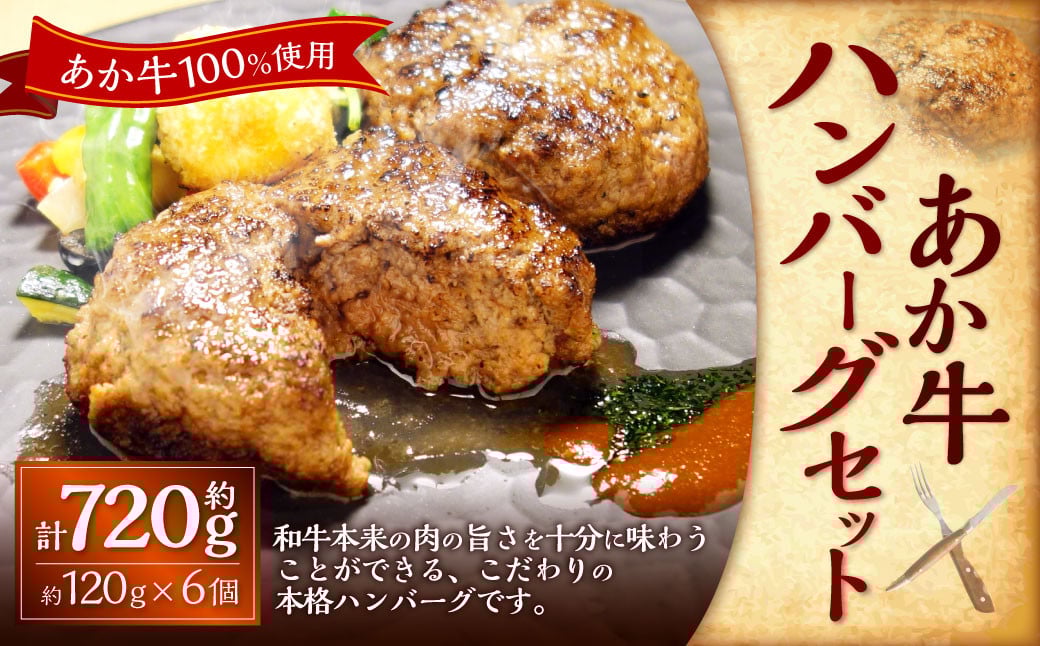 あか牛100％ハンバーグセット（あか牛ハンバーグ約120g×6個） 合計720g あか牛 ハンバーグ 牛肉 お肉 肉 褐牛 褐毛和種 和牛 国産牛 セット 熊本県 上天草市 冷凍