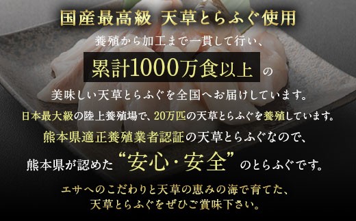 【ミシュラン星付きのプロが愛用】ふぐの王様！とらふぐ 国内最高級！天草とらふぐセット ふぐ鍋 フグ 河豚 