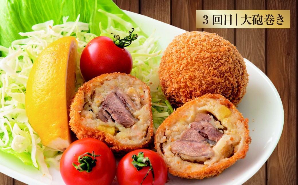 【5回定期便】ご飯の味方定期便 ハンバーグ コロッケ 大砲巻き メンチカツ 定期 定期便 5種 揚げ物 惣菜 おかず 冷凍 国産 九州産 熊本県 上天草市