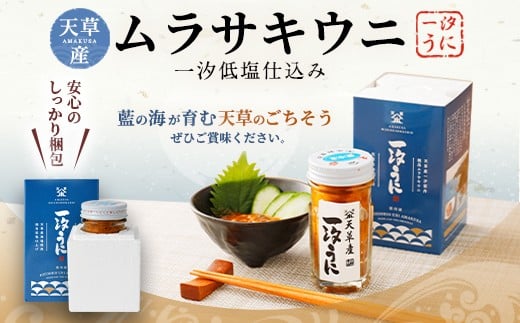 天草産ムラサキウニだらけ　豪華3本セット　(一汐低塩仕込み/60g)