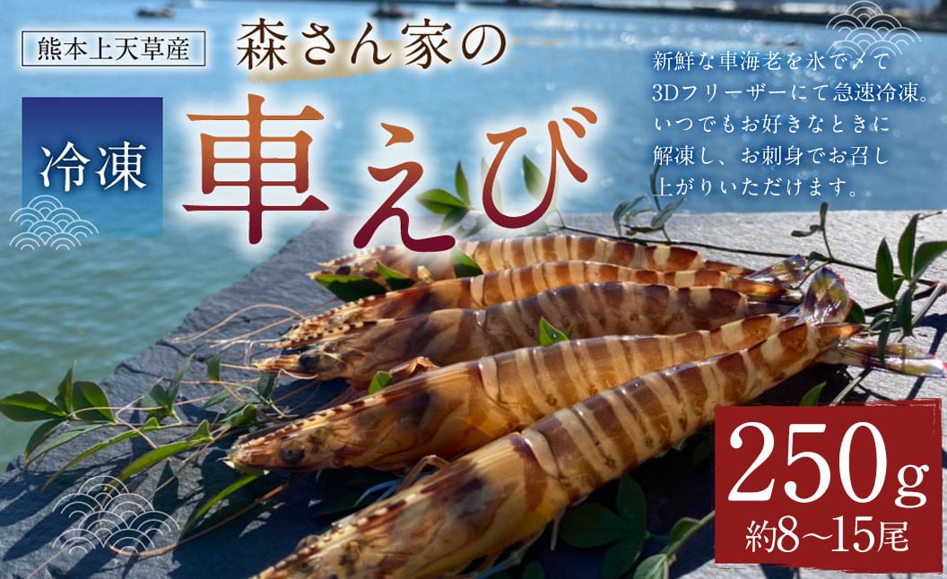 森さん家の冷凍車えび 活き〆冷凍車海老250g（約8～15尾）車海老 くるまえび 車えび 国産 天草の海 冷凍 【2024年8月上旬から2025年3月下旬発送予定】